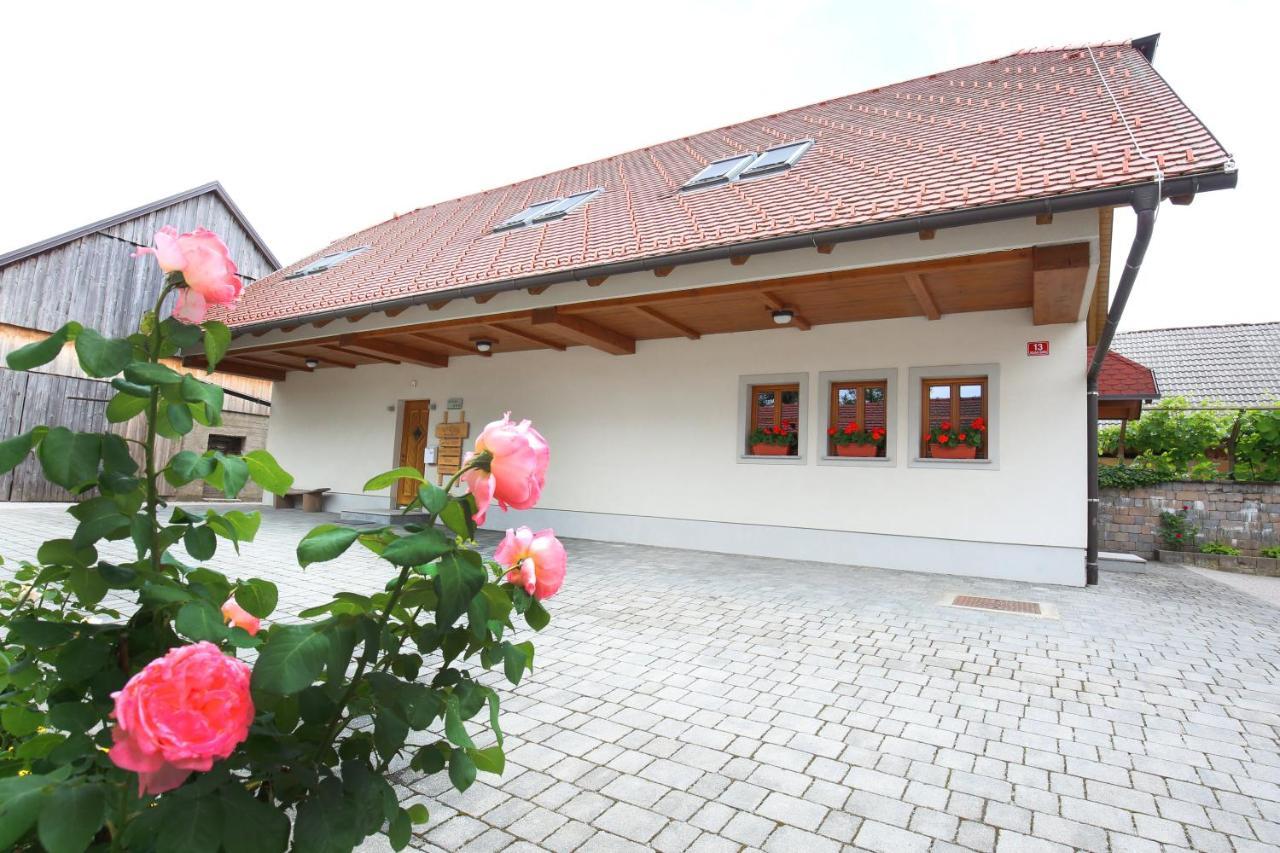 Apartments Vrdjan Cerknica Εξωτερικό φωτογραφία