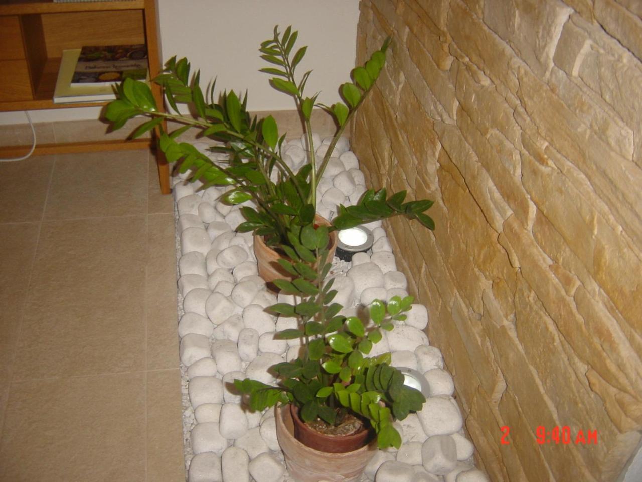 Apartments Vrdjan Cerknica Εξωτερικό φωτογραφία