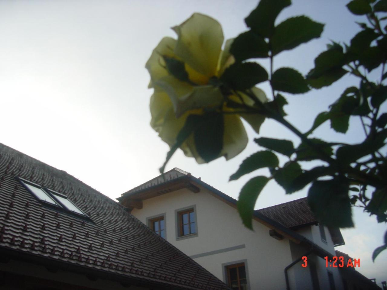 Apartments Vrdjan Cerknica Εξωτερικό φωτογραφία