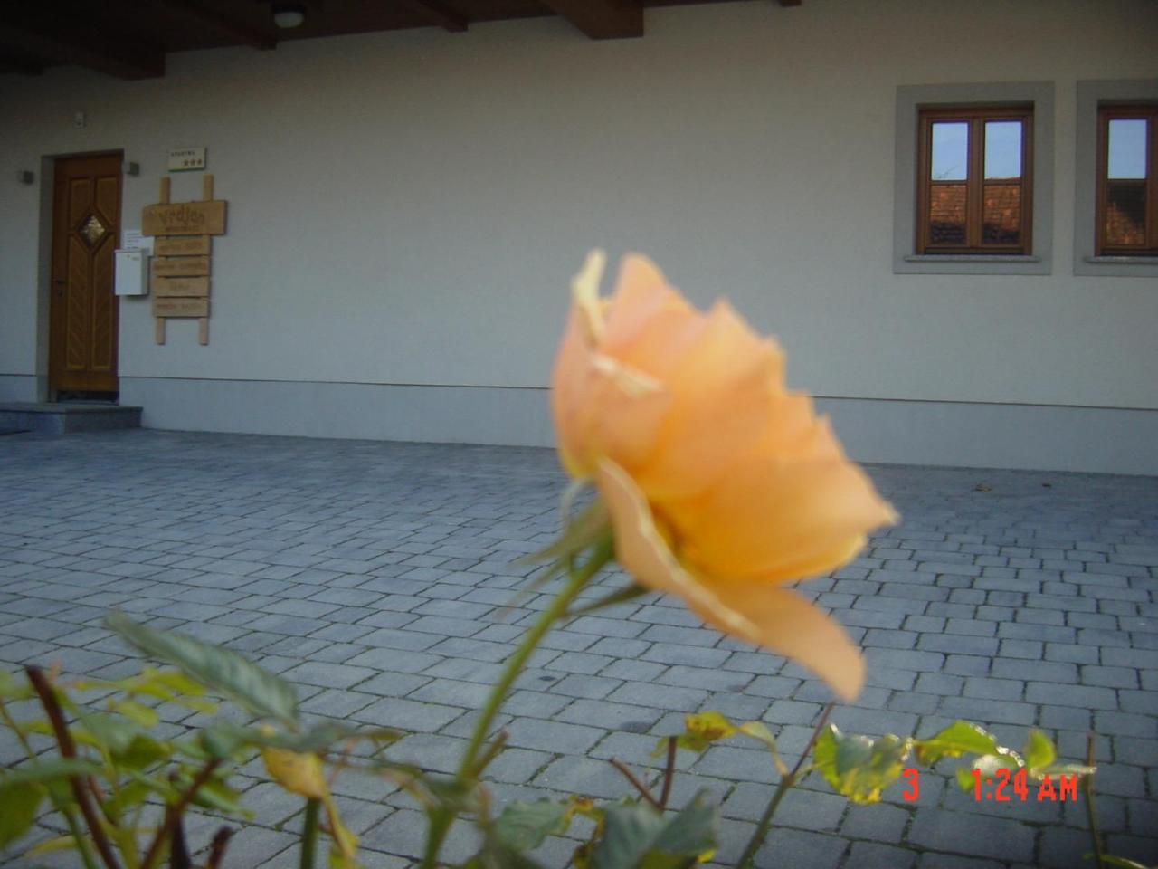 Apartments Vrdjan Cerknica Εξωτερικό φωτογραφία